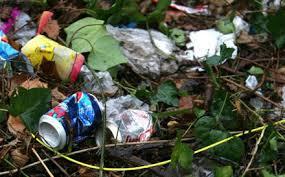 Litter is such an eyesore and danger to wildlife.